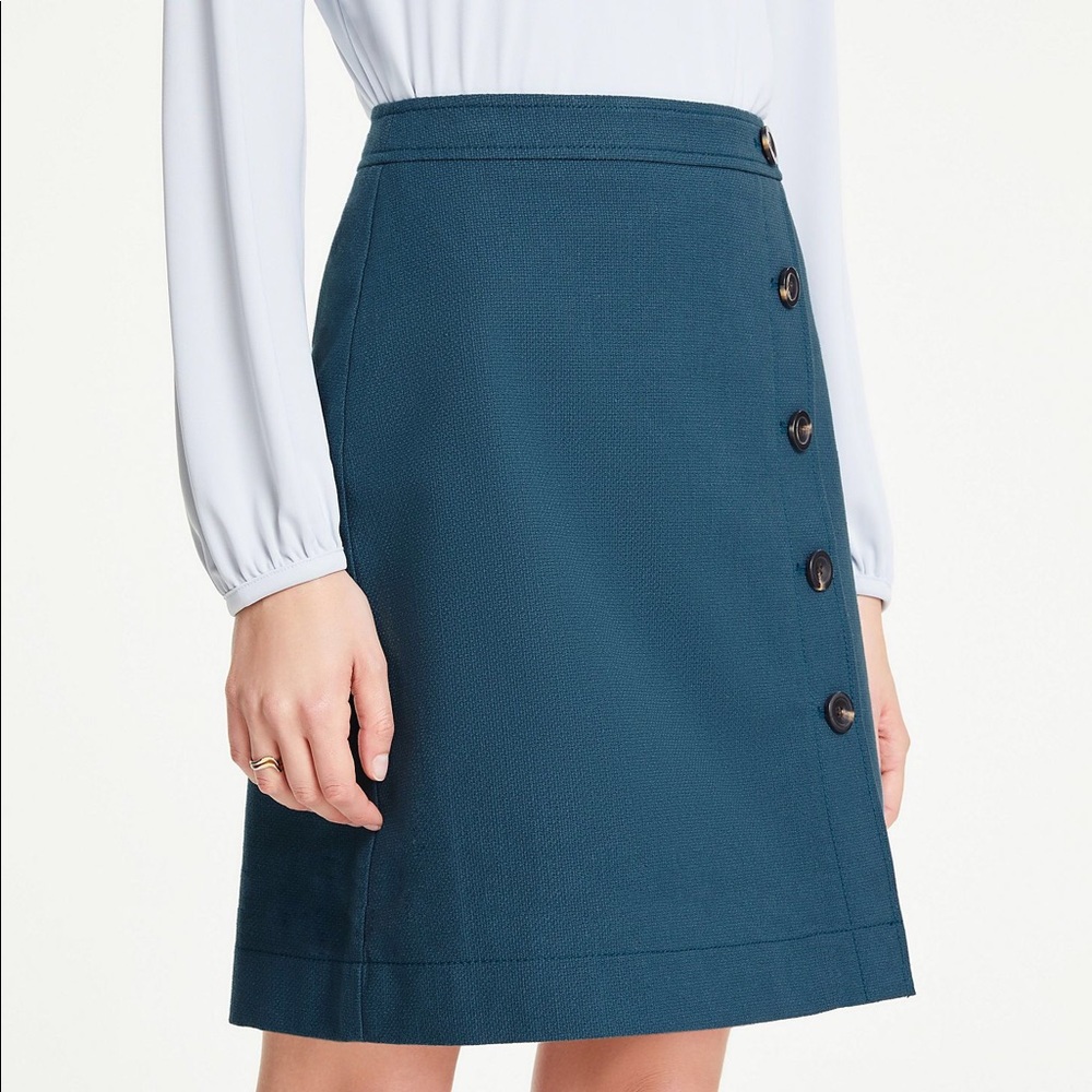 Ann Taylor A-Line Skirt